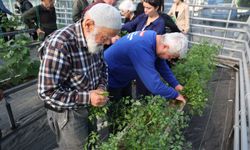 Alzheimer Hastalarına Umut Oluyor: Mavi Ev