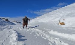 Yılbaşı Tatilinde Kayak ve Denizin Eşsiz Uyumu