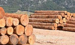 ORMAN EMVALİ İSTİFLEME HİZMETİ ALINACAKTIR
