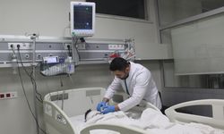 4,5 Yaşındaki Çocuğa Sokak Köpekleri Saldırdı