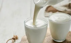 Ayran ve Kefir Üretimi Rekor Kırdı, İnek Sütü Toplamı Yükseldi