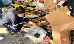Görüntüler duygusal anlara neden oldu: Pres makinesine giden kartonlar arasından 5 yavru kedi çıktı
