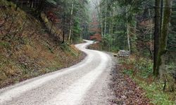 Orman Yolu Yaptırılacaktır