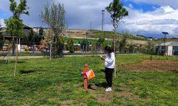 Kahramanlık destanı sporla buluşuyor: Oryantiring yarışması başvuruları başladı