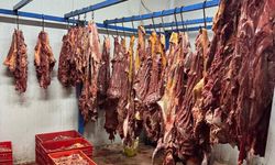 Adana’da 3 Ton Bozulmuş Et Ele Geçirildi