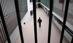 Trafik cezaları artıyor, noterler yeni disiplin sistemiyle karşı karşıya
