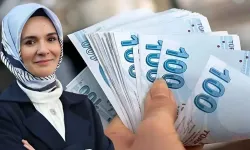 Aile Bakanlığı 7 Bin 94 TL Hesaplara Yatırdı e-Devlet'i Kontrol Edin