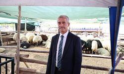 Başkan Tahmazoğlu'ndan Fahiş Fiyat Uyarısı
