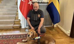 Kahramanmaraş Depreminin Kahraman Arama Kurtarma Köpeği Killian Vefat Etti