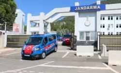Kahramanmaraş Jandarması Suç Örgütlerine Darbe Vurdu: 290 Gözaltı