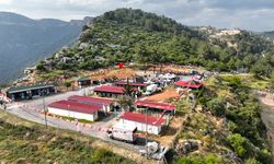 Sokak Hayvanlarına Doğal Cennet