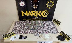 Ceyhan'da Organize Suç Örgütüne Ağır Darbe: 10 Tutuklama