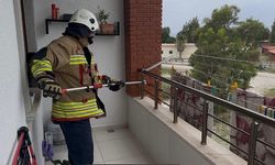 Hatay'da Balkon Korkusu: Evde Yılan Paniği Yaşandı!