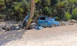 Kahramanmaraş Andırın’da otomobil ağaca çarptı: 2 kişi yaralandı