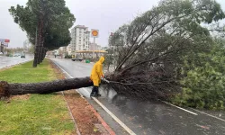 Kahramanmaraş’ta sert rüzgâr ve don uyarısı! Kar serpintisi bekleniyor