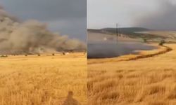 Kahramanmaraş'ta Buğday Tarlası Alevlere Teslim Oldu