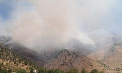 Kahramanmaraş'ta ormanlık alanda çıkan yangın kontrol altına alındı