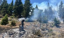 Mersin'in Erdemli ilçesinde orman yangını: Müdahale havadan ve karadan sürüyor