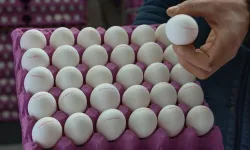 Soframızın Temel Gıdası Yumurta Yüzde 18 Ucuzladı