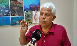Sosyal medya uğruna köpek balıklarına işkence: Uzmandan ekosistem uyarısı