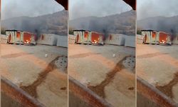Kahramanmaraş'ta Buzdolabı  Konteyneri Kül Etti