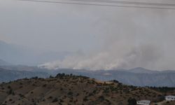 Kahramanmaraş'ta orman yangını çıktı