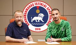 Hakkari yaylalarında otlatılan sürüler sağım için zorlu yolları aşıyor