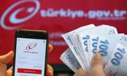 700 TL’den 350 Bin TL’ye Kadar! E-Devlet’te Paranız Olabilir