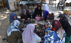 Gaziantep’te Kadınlar İmece Usulüyle Kurutmalık Hazırlıyor