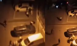Kahramanmaraş TOKİ Konutlarında İki Aile Birbirine Girdi