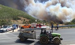Mersin Ormanları Alevler Altında: Silifke’de Yangın Alarmı