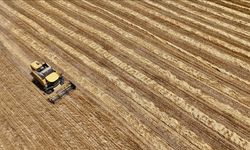 Çiftçiye 400.000 TL faizsiz kredi şartları neler? Faiz indirimi kimleri kapsıyor?