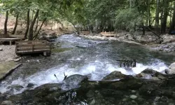 Kahramanmaraş Fırnız’da çardak fiyatları tepki çekti