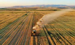 Kahramanmaraş’ta 2B arazileri resmî tapuya kavuşuyor
