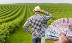 Üreticilere 376,8 milyon lira ödendi