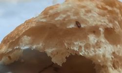 Halk Ekmek’in içerisinden çıkan fare dışkısı ve un kurdu yeni doğum yapan anneyi sütten kesti