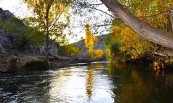 Kahramanmaraş’ta Sonbahar Büyüledi: Göksun Sarıya Büründü, Kartpostallık Görüntüler Oluştu
