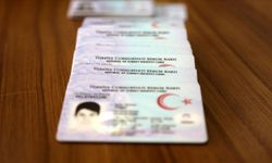 TC Kimlik Numarası Sonu 0-4-6-8-2 Olanlar Dikkat 88.000 TL Verilecek!