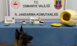 Osmaniye’de bal kabağından uyuşt*rucu çıktı