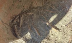 Su borusu kazısında M.Ö. 1500 yılına ait insan kemikleri bulundu
