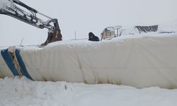 Karın ağırlığını taşıyamayan çadır çöktü, 8 koyun öldü