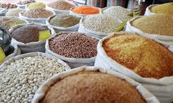 Güneydoğu Anadolu'nun hububat ihracatı 10 ayda 2,9 milyar dolara ulaştı