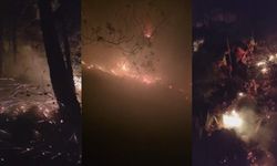 Hatay Arsuz’da orman yangını 16 saat sonra kontrol altına alındı