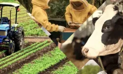 Kahramanmaraş’ta çiftçilerin hesaplarına para gönderildi