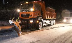 Erzincan'da gece boyunca kar etkili oldu