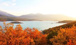 Sonbaharın en güzel hâli: Adatepe Barajı’ndan 5 büyüleyici kare