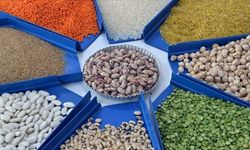 Türkiye’nin hububat ve bakliyat ihracatı 10 ayda 10 milyar dolara dayandı