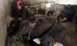 Kadın girişimcinin azmi: 11 mandayla başladı, siparişlere yetişemez hale geldi