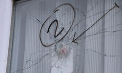 Bir kadının öldüğü, bir çocuğun ağır yaralandığı saldırının altında "sosyal medya paylaşımı" olduğu ileri sürüldü