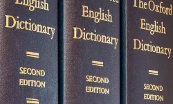 Oxford Sözlüğü 2025 yılının kelimesini seçti: Öfke yemi